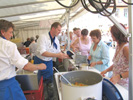 Bild4